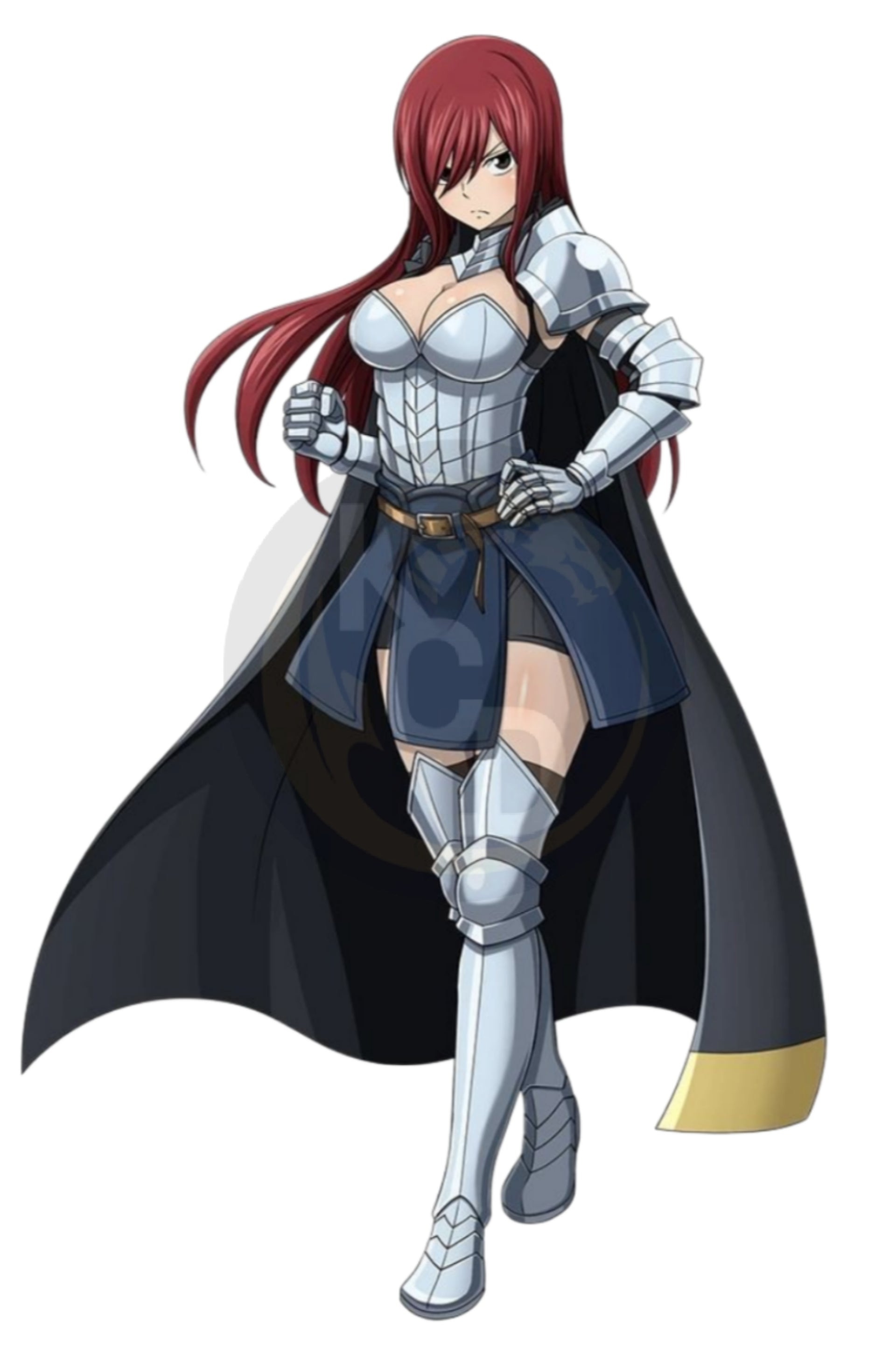 Erza Stickers 1 - 25