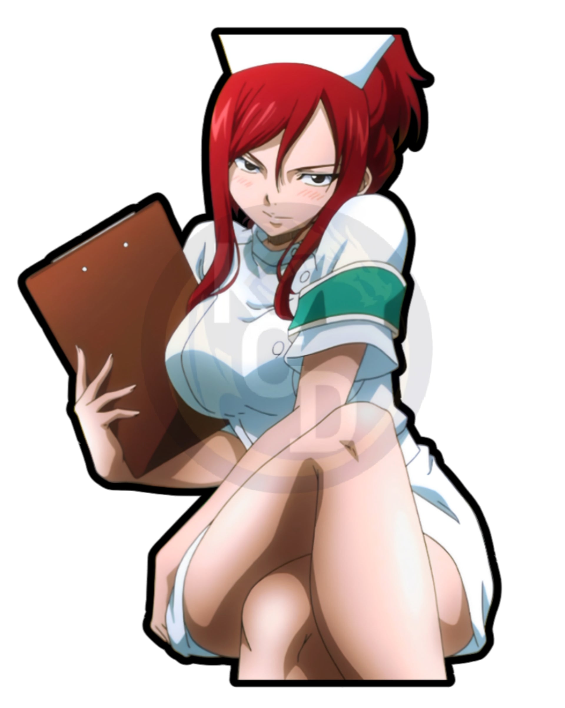 Erza Stickers 1 - 25