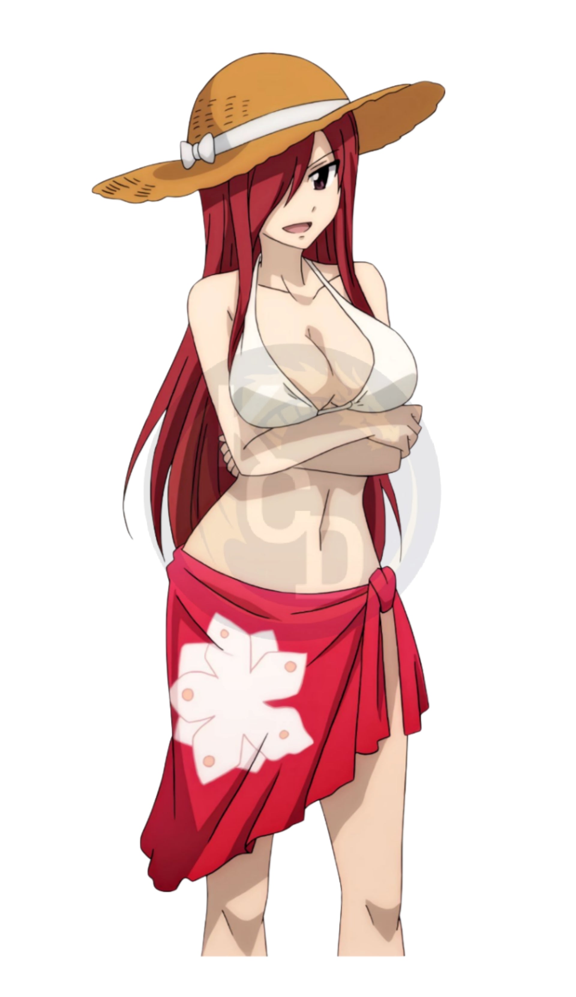 Erza Stickers 1 - 25